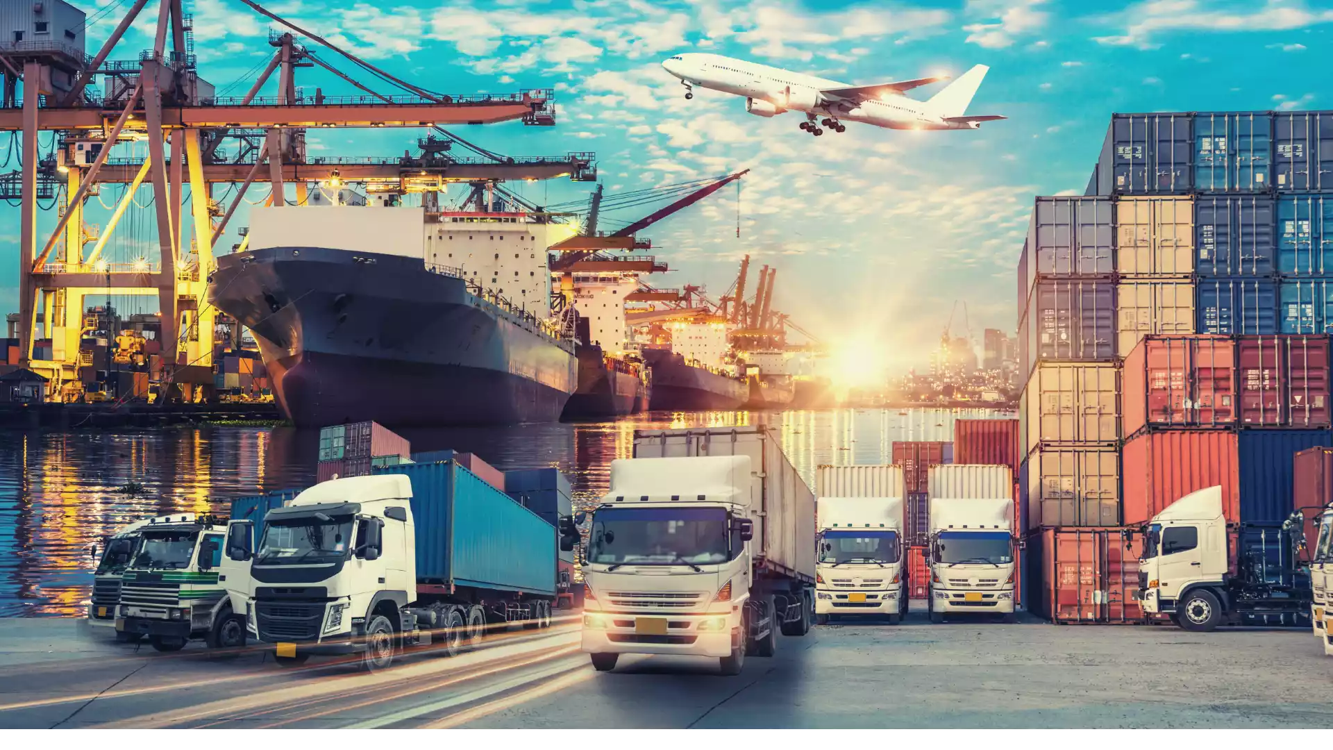 Logistics TLP